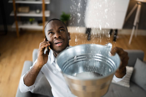 Best Carpet water damage restoration  in Cheviot, OH
