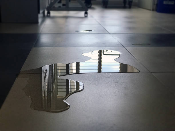 Best Carpet water damage restoration  in Cheviot, OH
