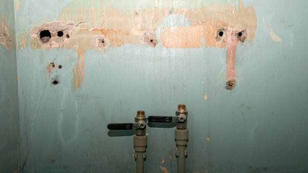 Best Water damage repair service  in Cheviot, OH
